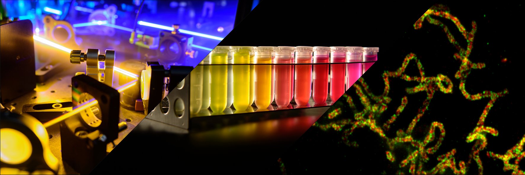 JakobsLab's banner