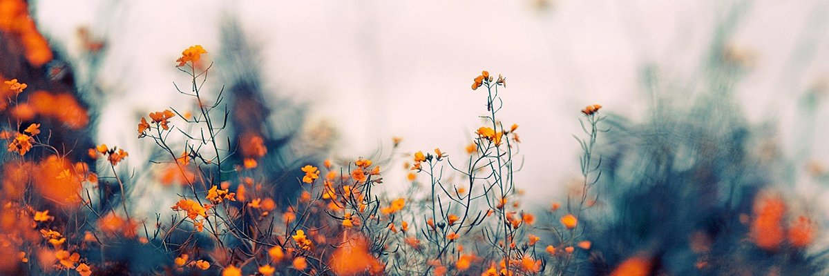 merits_v's profile banner image