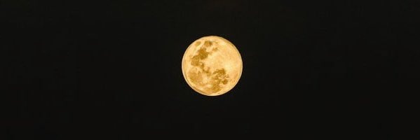 sherlllccc's profile banner image
