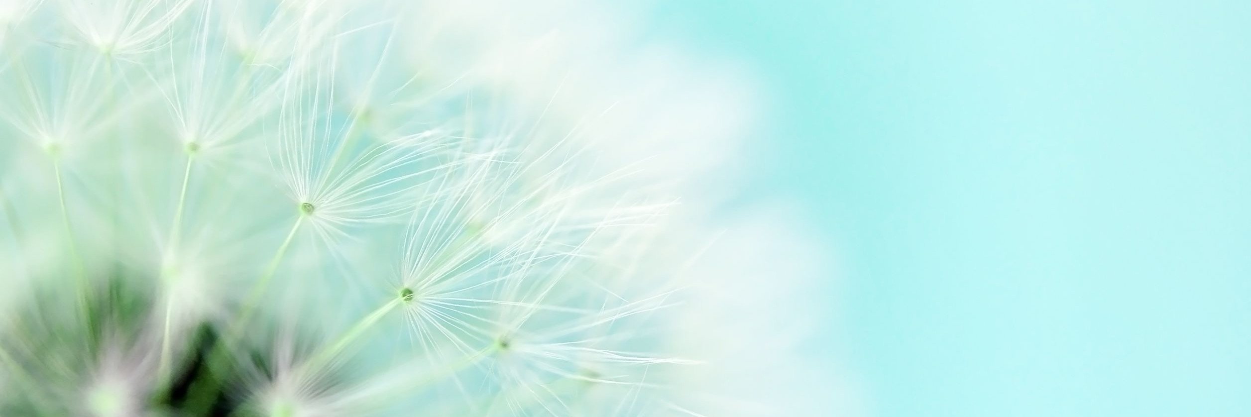 EsWellness's profile banner image