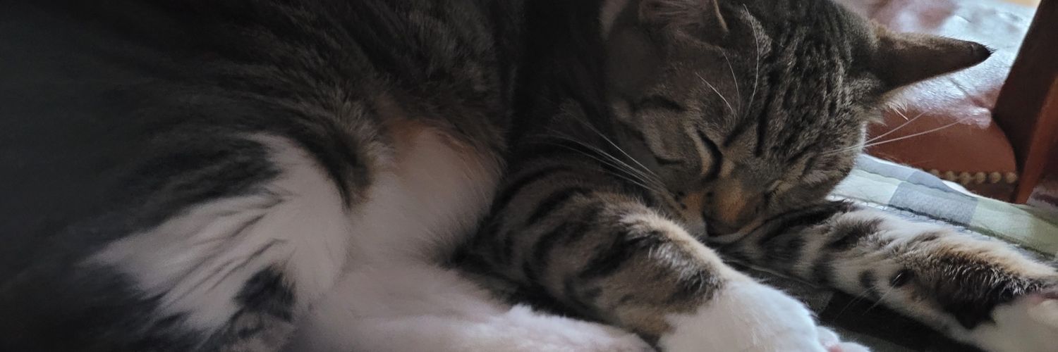unnjimoon's profile banner image
