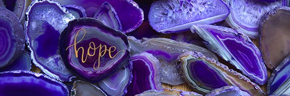 The Windward Foundation banner