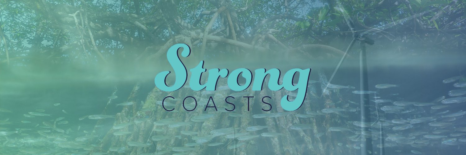 Strong Coasts banner