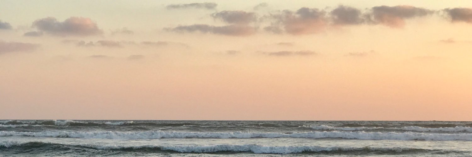 devainillla's profile banner image