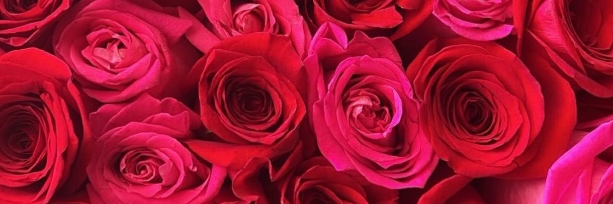 bfoxlove's profile banner image