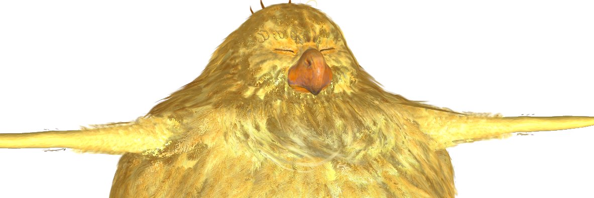 JCvanDMG's profile banner image