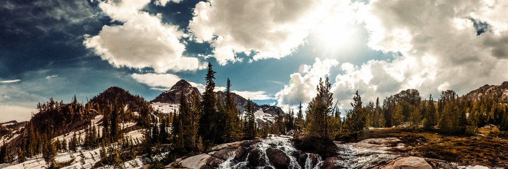 brandyblueowl banner