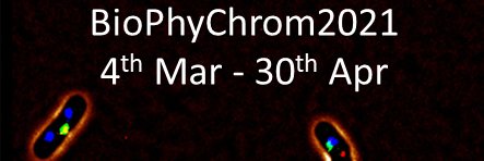 BioPhyChrom's banner