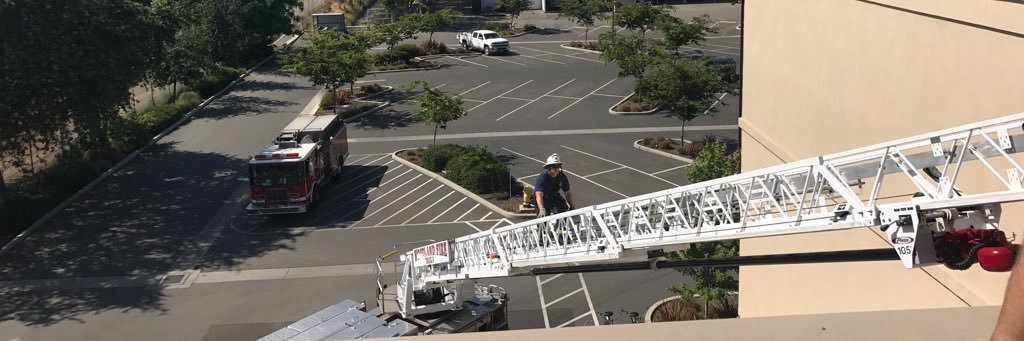 fish@macaw.social banner