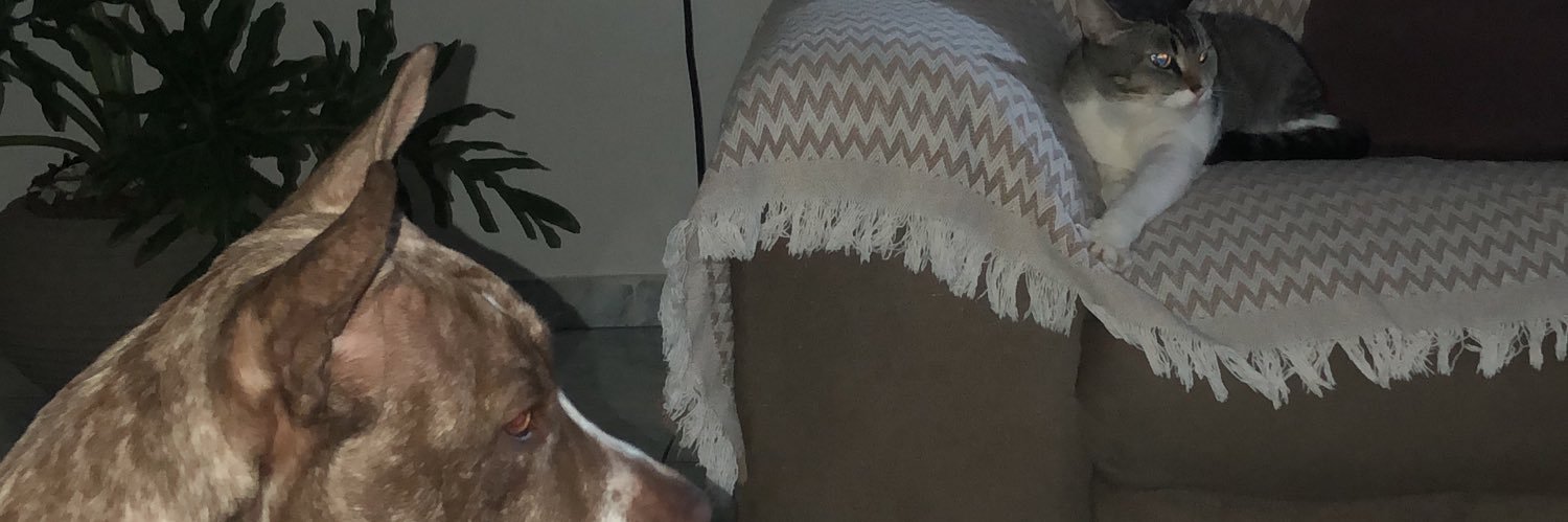 andreasantilo's profile banner image