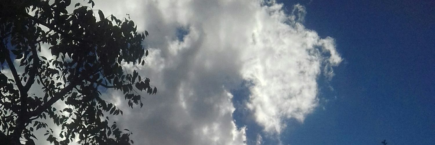 TheShoms's profile banner image