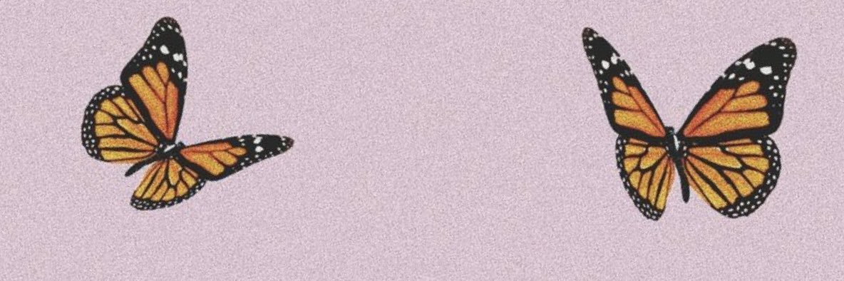_theebutterfly's profile banner image