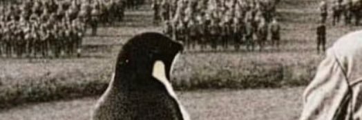 Quentin de France ❤️‍🔥🏴🇫🇷 banner