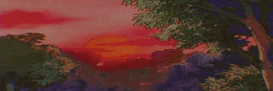 acilshopp's profile banner image