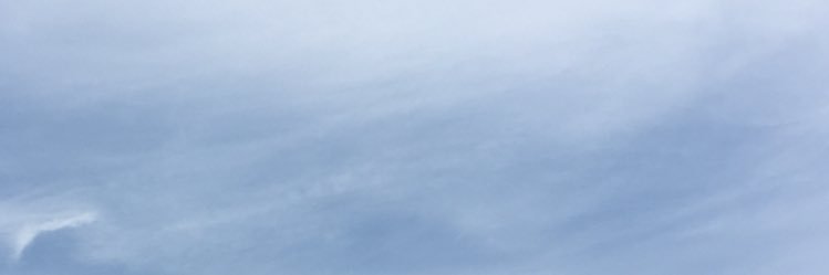 el_can_furia's profile banner image