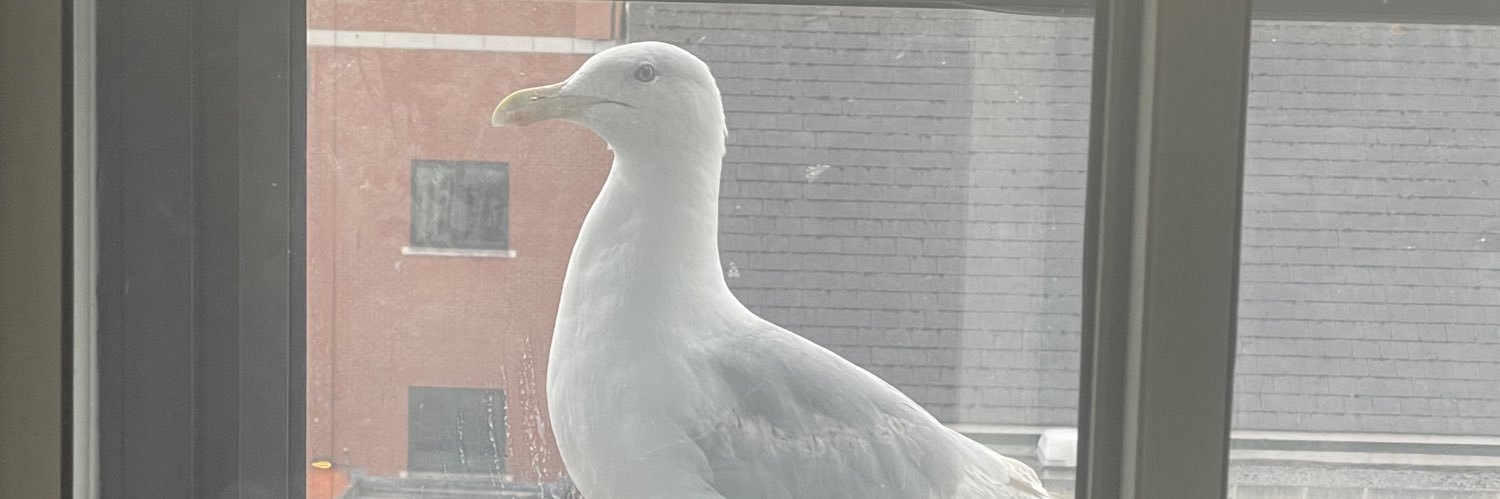 Clive Anthony Boyce banner