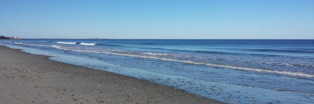 mickey edwards banner