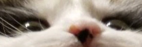 Legalpiemaster's profile banner image