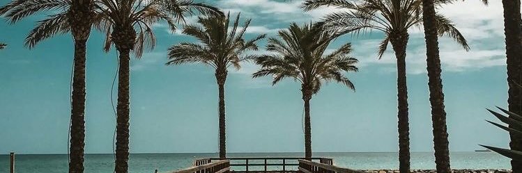 reefazer's profile banner image