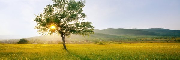 mbulut06 Profile Banner