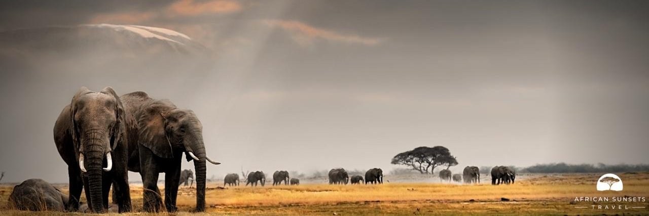 ASunsetsTravel's profile banner image