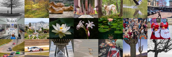 L33Fly Profile Banner