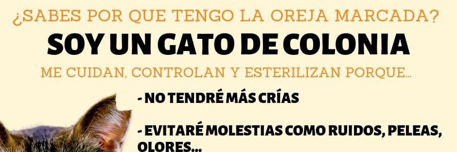 Colonias Felinas Ciempozuelos banner