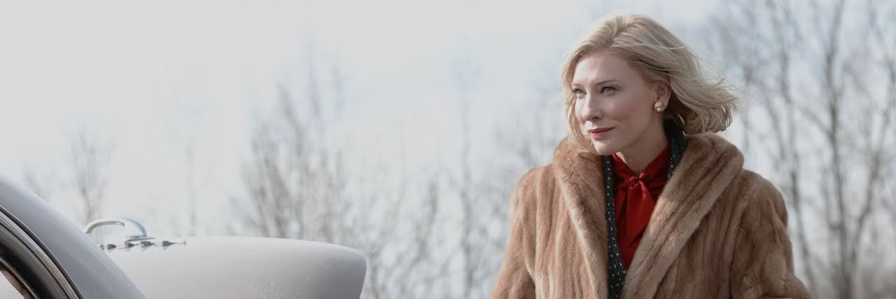blondcate's profile banner image