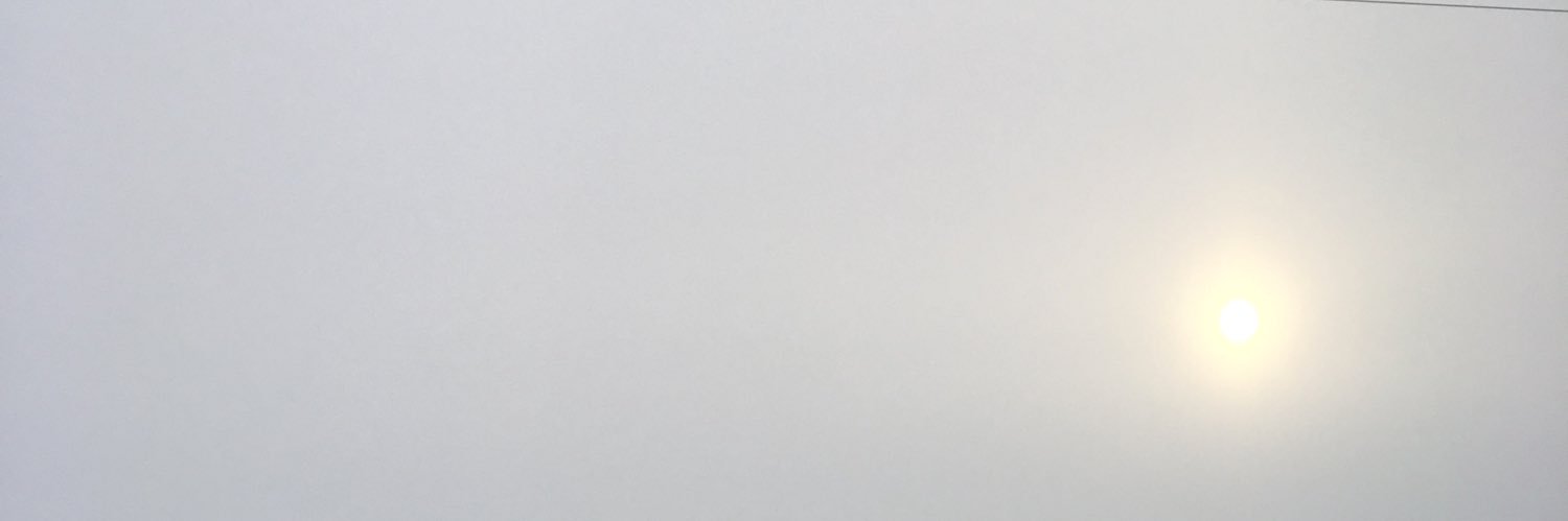 sophia reuss's banner