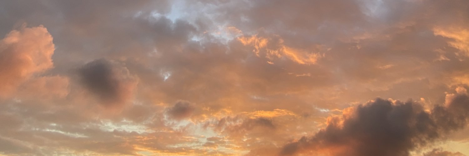 lanas_mustang's profile banner image