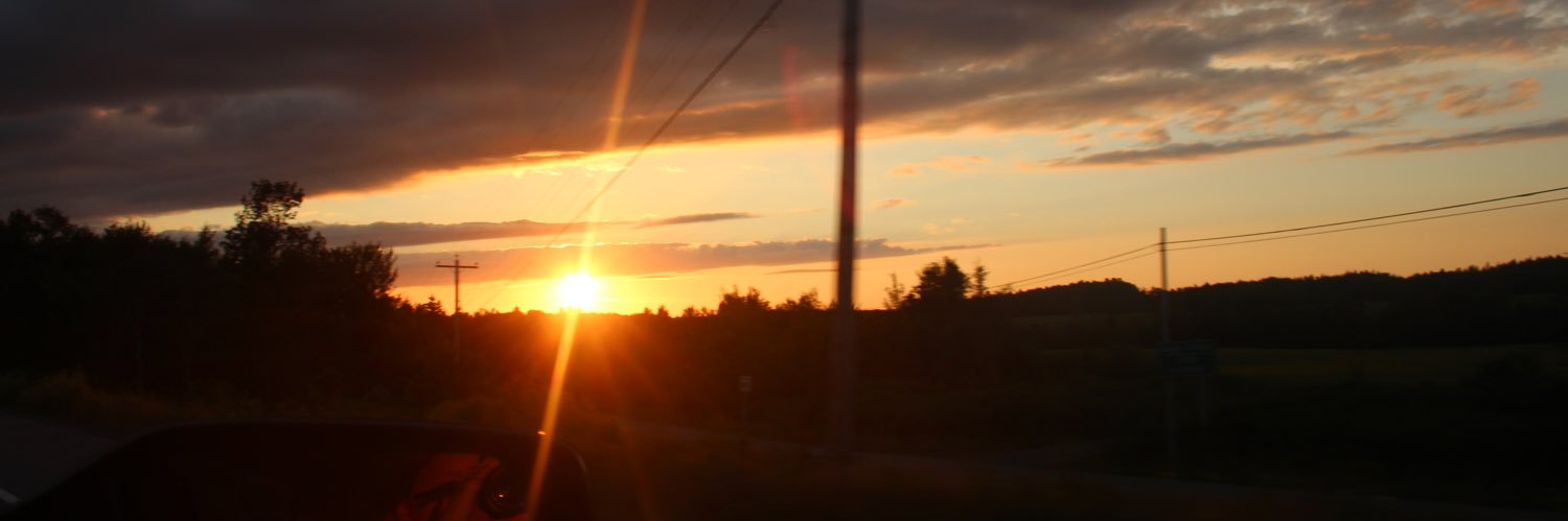 juliaratz's profile banner image