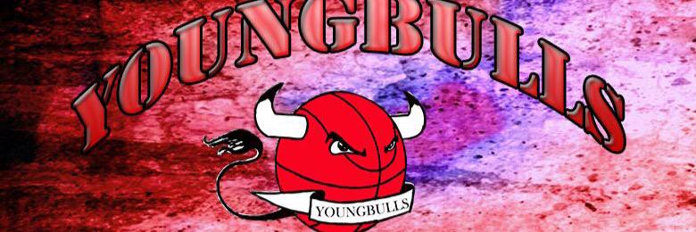 young_bulls's profile banner image