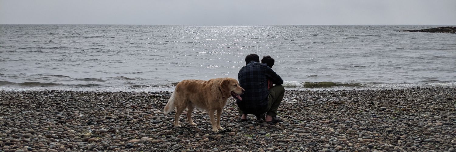 dimps_84's profile banner image