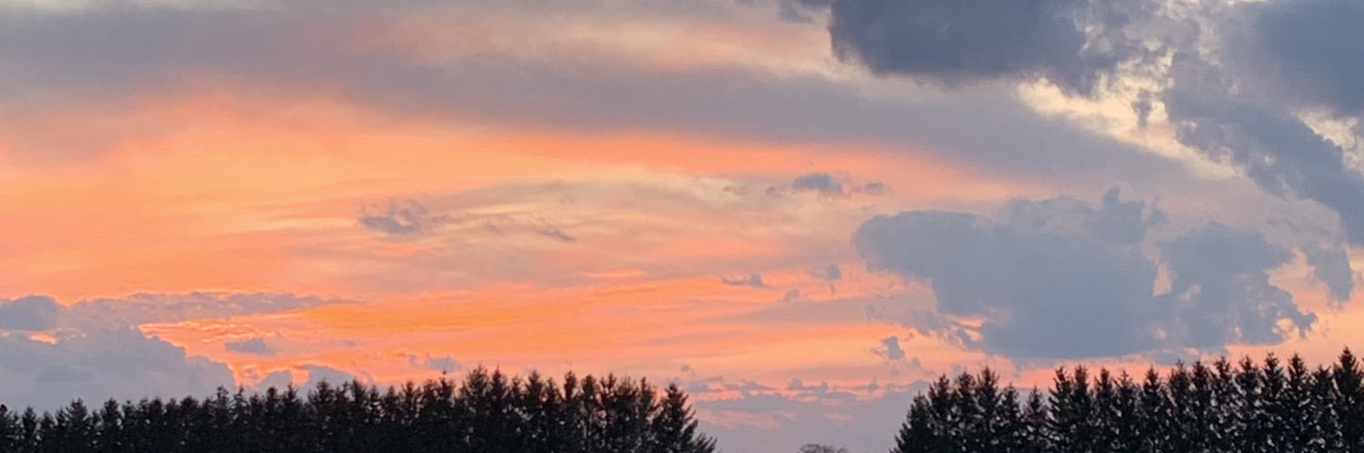 chloewilh's profile banner image