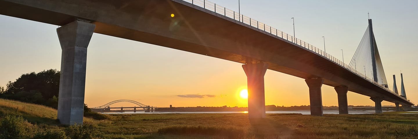 Viscount Toad KG 🌸🏴󠁧󠁢󠁥󠁮󠁧󠁿 banner