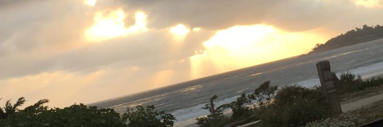 AmisTheArcher's profile banner image