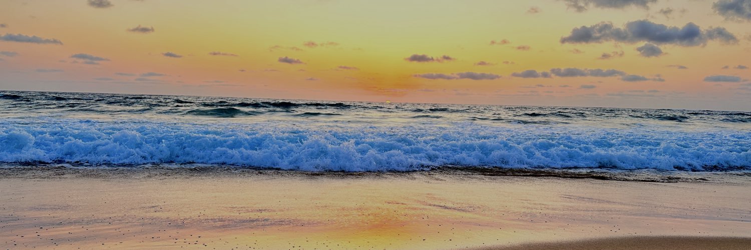 rhswims's profile banner image