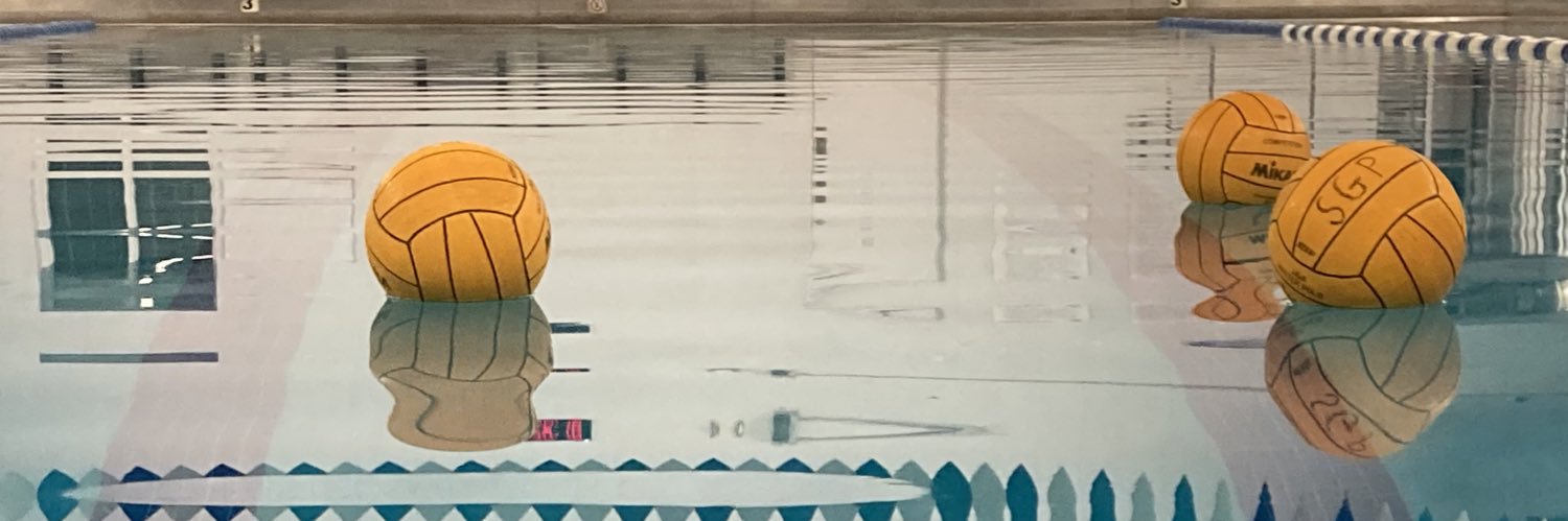 SGP Warrior Swim banner