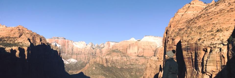 Abby Hamilton banner