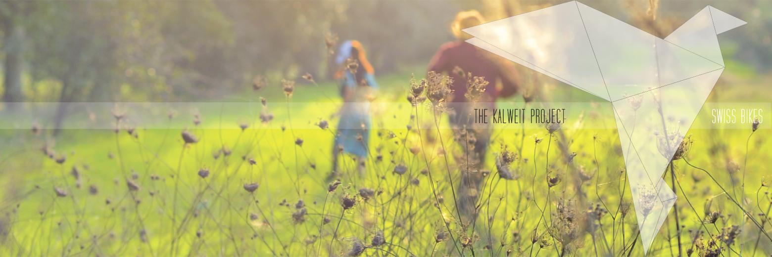 Georgeanne Kalweit banner