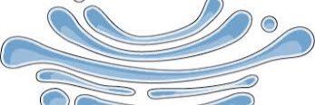 GolgiAppar8us's profile banner image