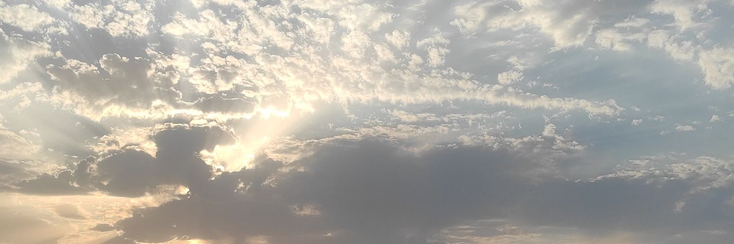 rayn821's profile banner image