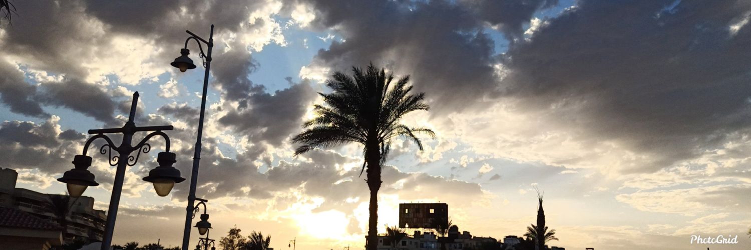 Salmaelsayed124's profile banner image