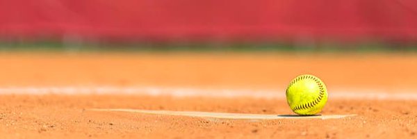 VHSVipersSB Profile Banner