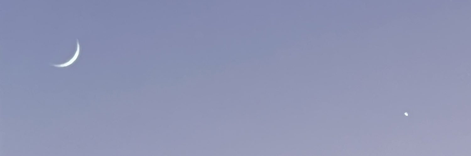 qctimporta's profile banner image