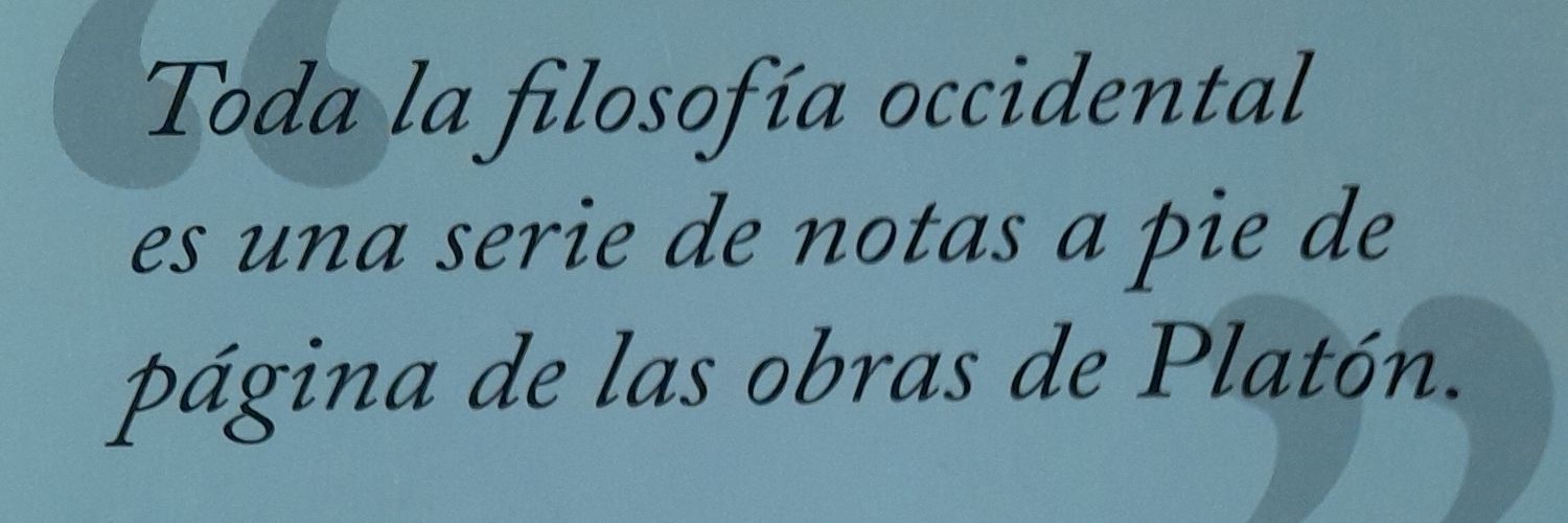 Román Fellippelli banner