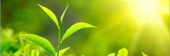 javierbar923's profile banner image