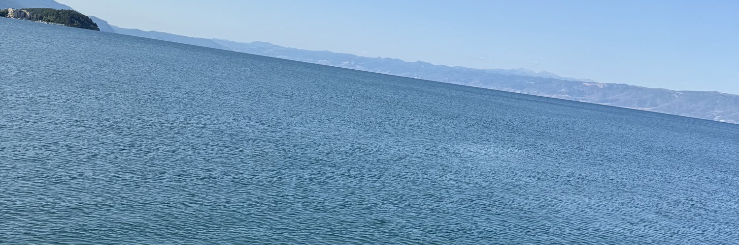 dsgursoy's profile banner image