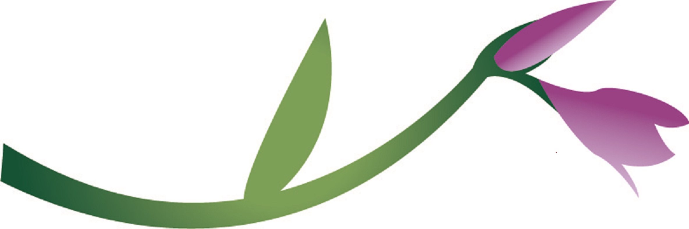 marsboix's profile banner image