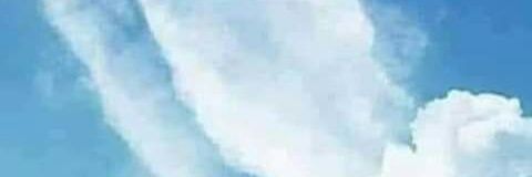 محمد عبدالوكيل جاب الله banner
